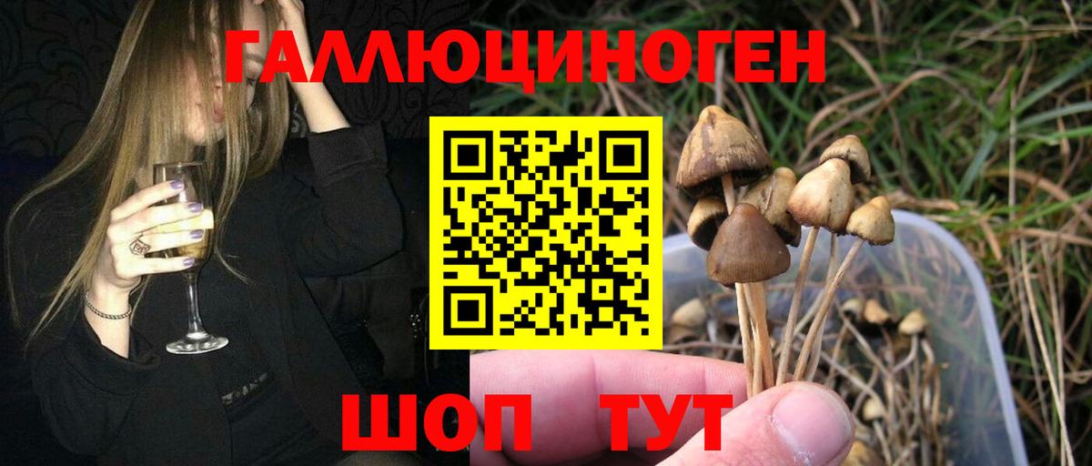 Псилоцибиновые грибы ЛСД Прохладный