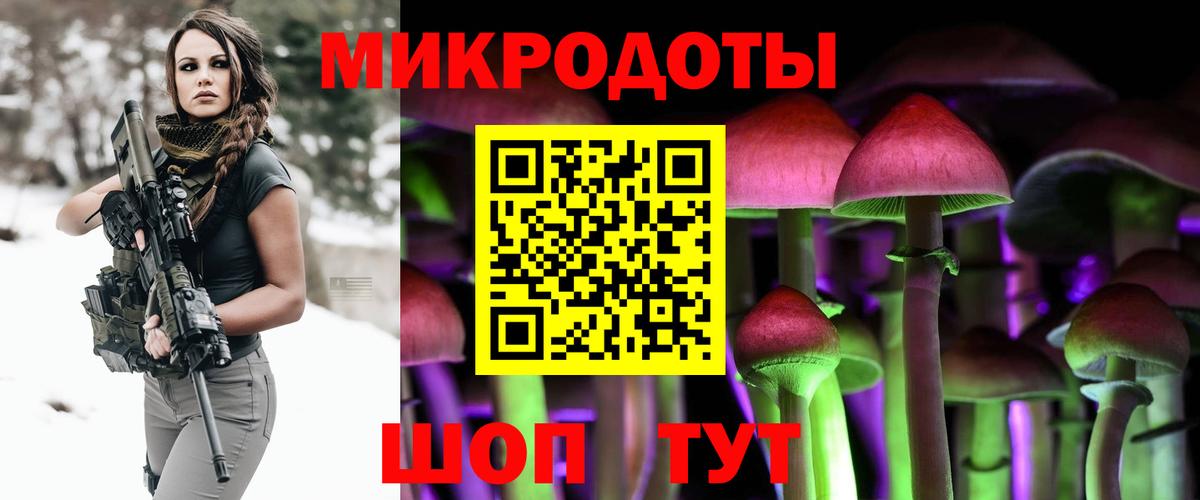 Прохладный  Псилоцибиновые грибы мицелий  Вход с VPN 